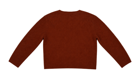 LEO SHIRT 1